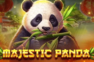 Người chơi Việt Nam tham gia Bingo trực tuyến trên điện thoại tại w188